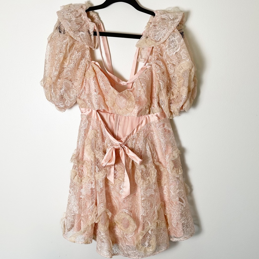 For Love And Lemons Ruffled Lace Mini Dress in Cream and Pink - Picture 3 of 11